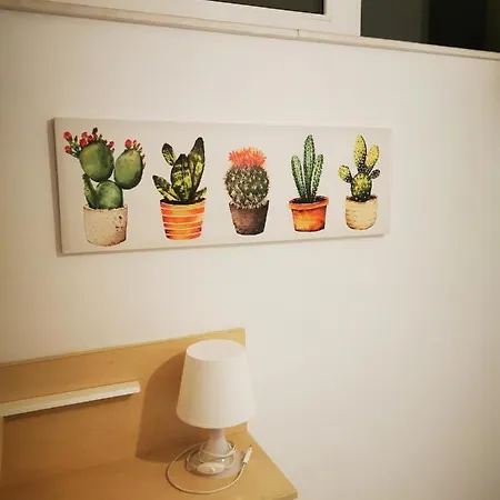 公寓 Cactus