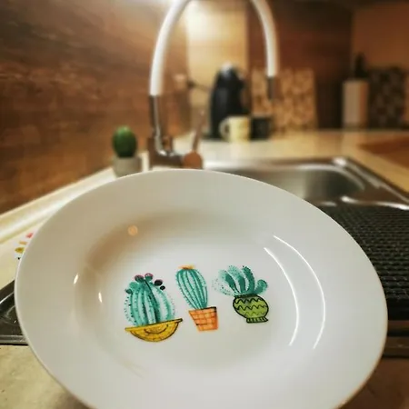 公寓 Cactus 洛泽内茨