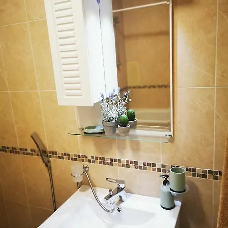 Cactus 洛泽内茨