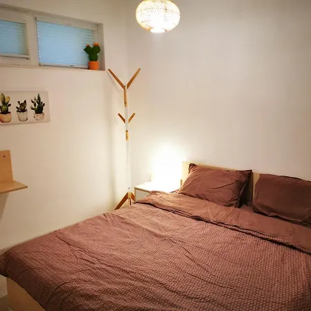 Apartment Cactus *