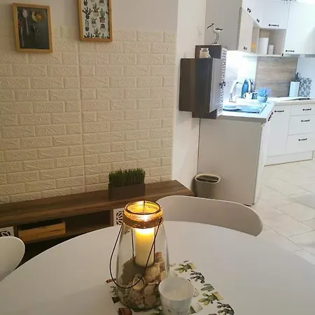 Apartment Cactus Lozenets